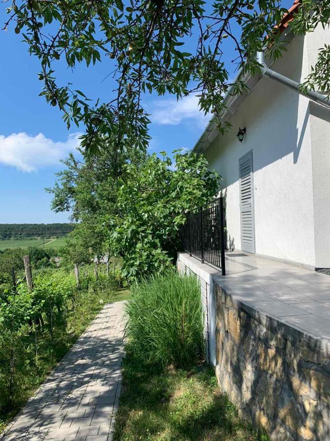 Szoloskert Vendeghaz Balatonszolos Exterior photo