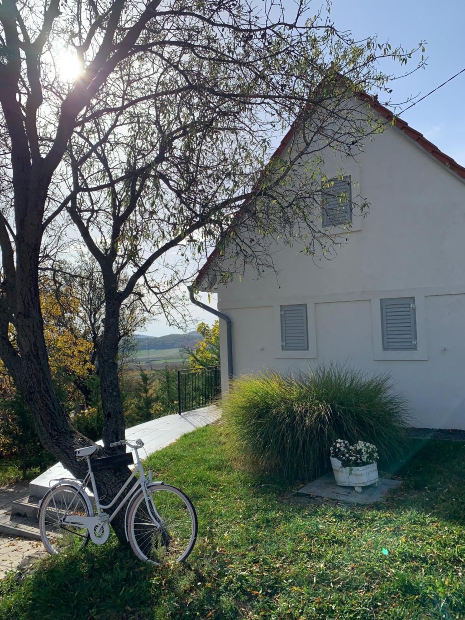 Szoloskert Vendeghaz Balatonszolos Exterior photo